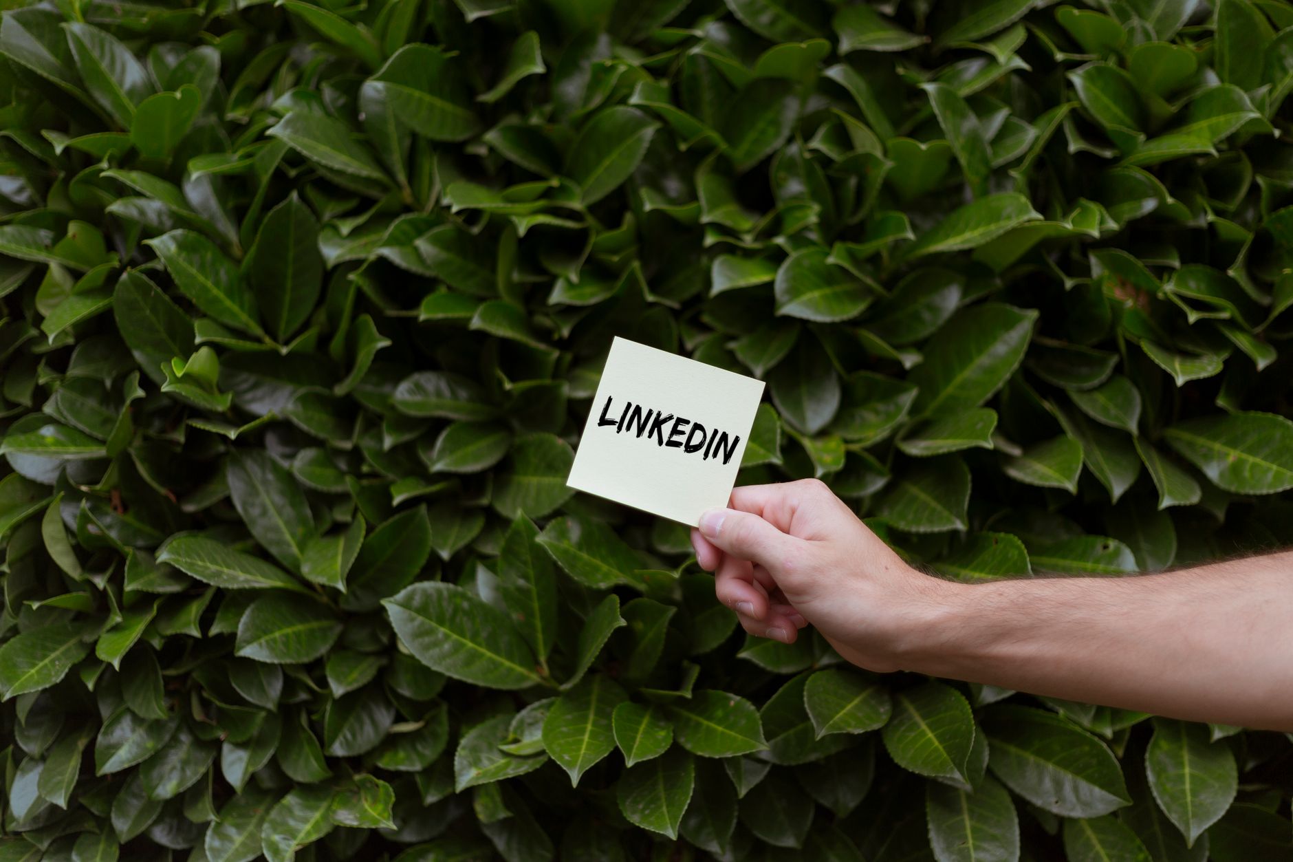 Stratégies pour optimiser une page LinkedIn PME et engager une audience B2B