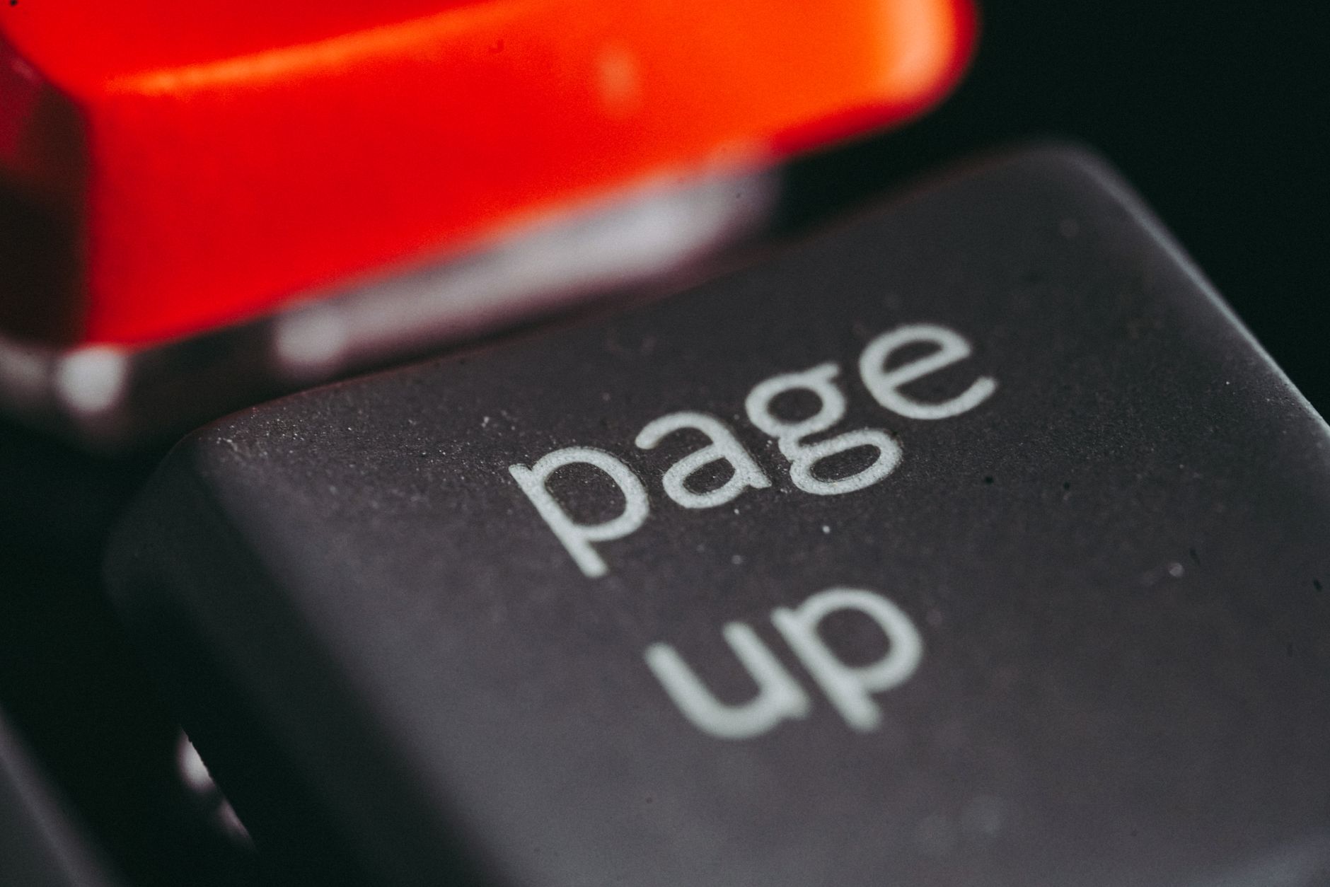 Image illustrant une landing page sans code efficace pour TPE, optimisée pour la conversion et facile à créer