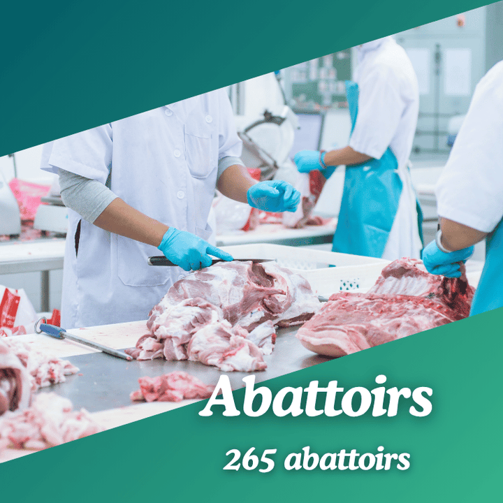 Base de données Abattoirs