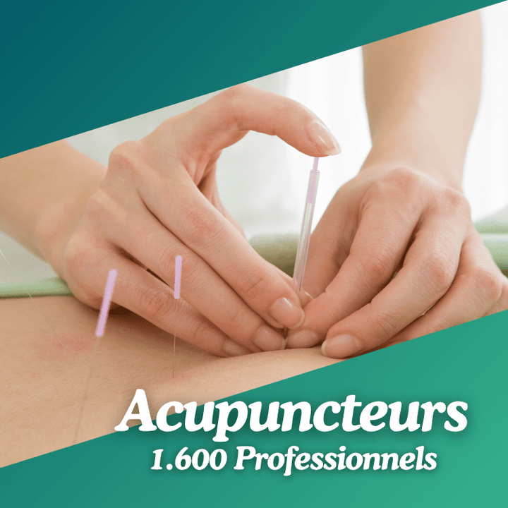 Base Acupuncteurs