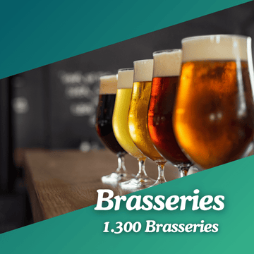 Base de données brasseries