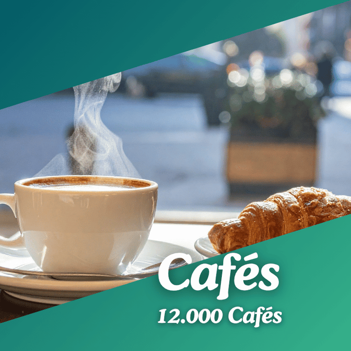 Base Cafés