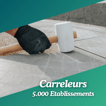 Base de données de Carreleurs