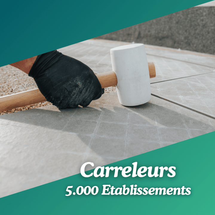 Base de données de Carreleurs