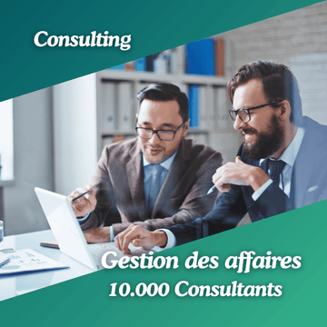 Base Conseillers en gestion des affaires