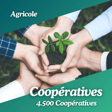 Base Coopératives agricoles