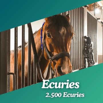 Base Ecuries