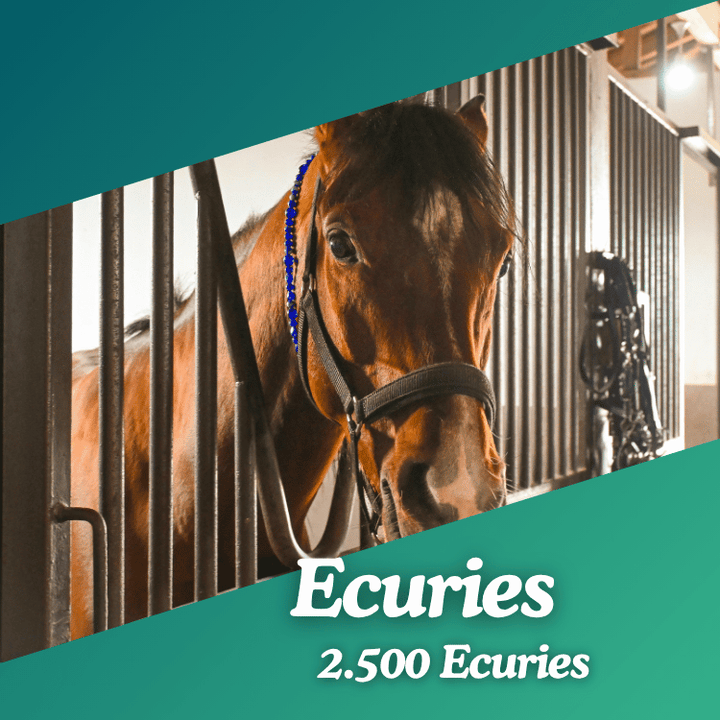 Base Ecuries
