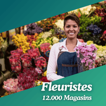 Base Fleuristes