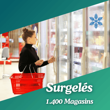 Base Magasins de surgelés