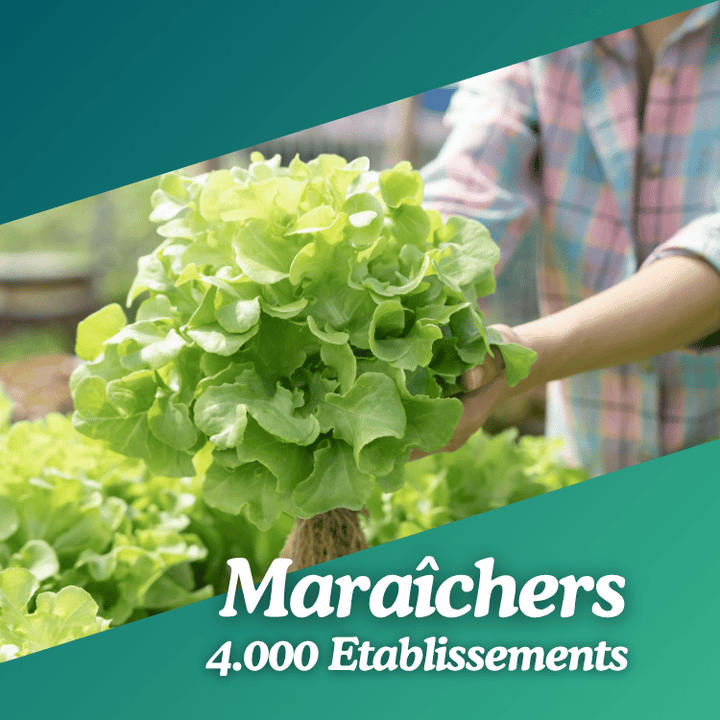 Base Maraîchers