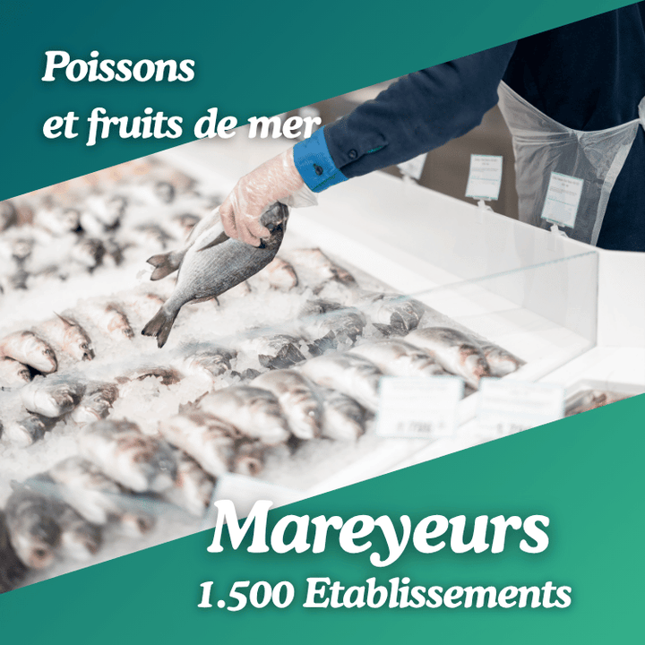 Base Mareyeurs, Marchés de poissons et fruits de mer