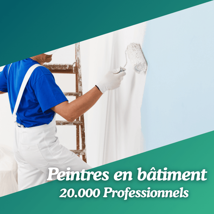 La liste des Peintres en bâtiment en France