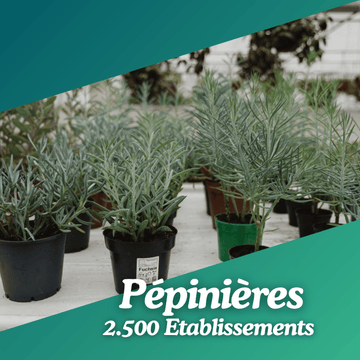 Base Pépinières