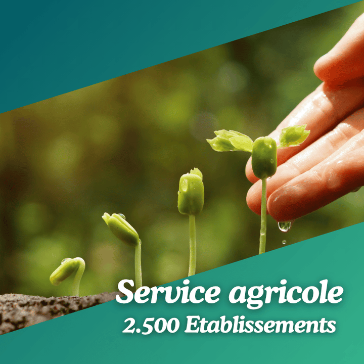 Base de données Service Agricole