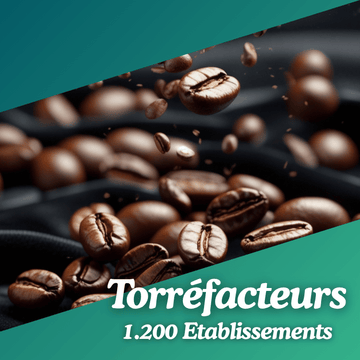 Base Torréfactions de café