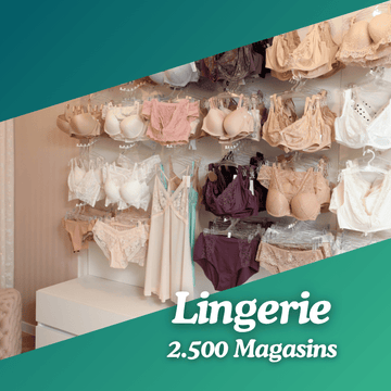 Base de données lingeries