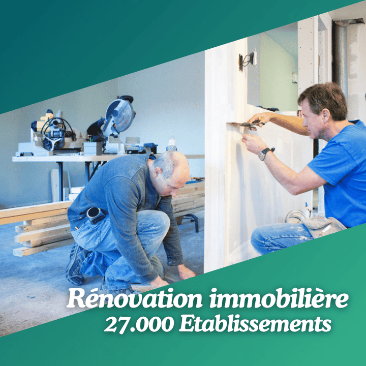 Base de données de Professionnels de la rénovation immobilière