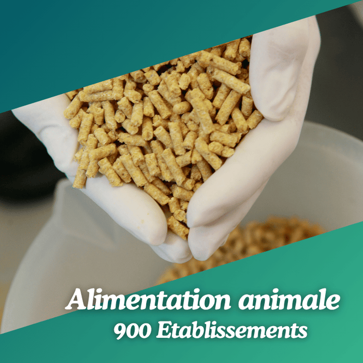 Base de données Alimentation animale