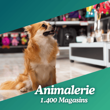 Base de données Animalerie
