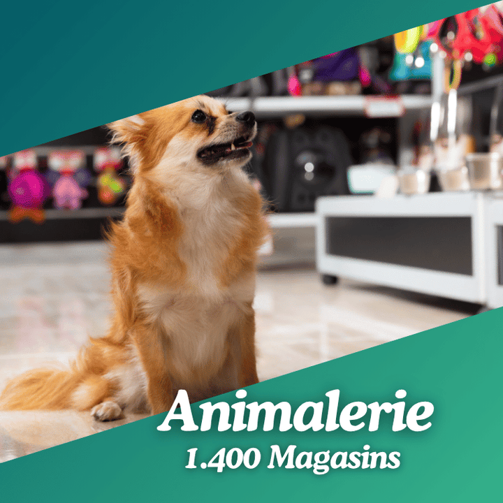 Base de données Animalerie