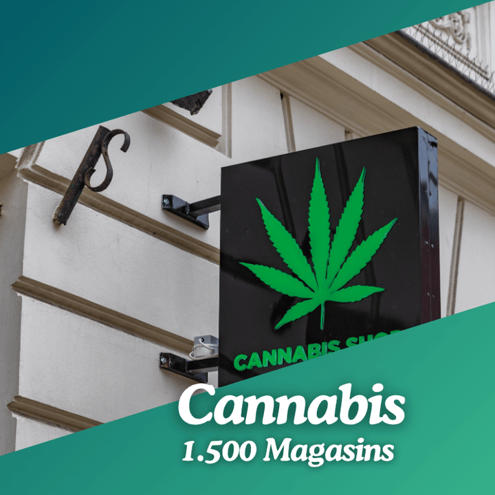 Base de données Magasins de Cannabis