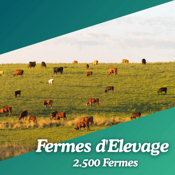 Base de données fermes d'elevages