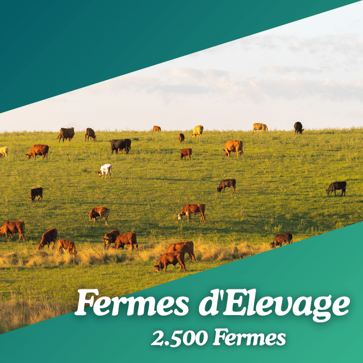 Base de données fermes d'elevages
