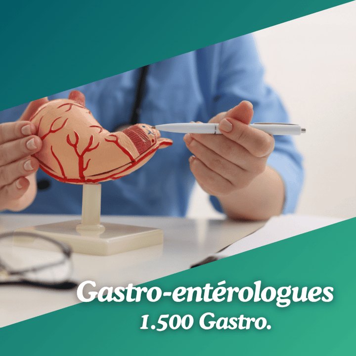 Base de données Gastro-entérologues