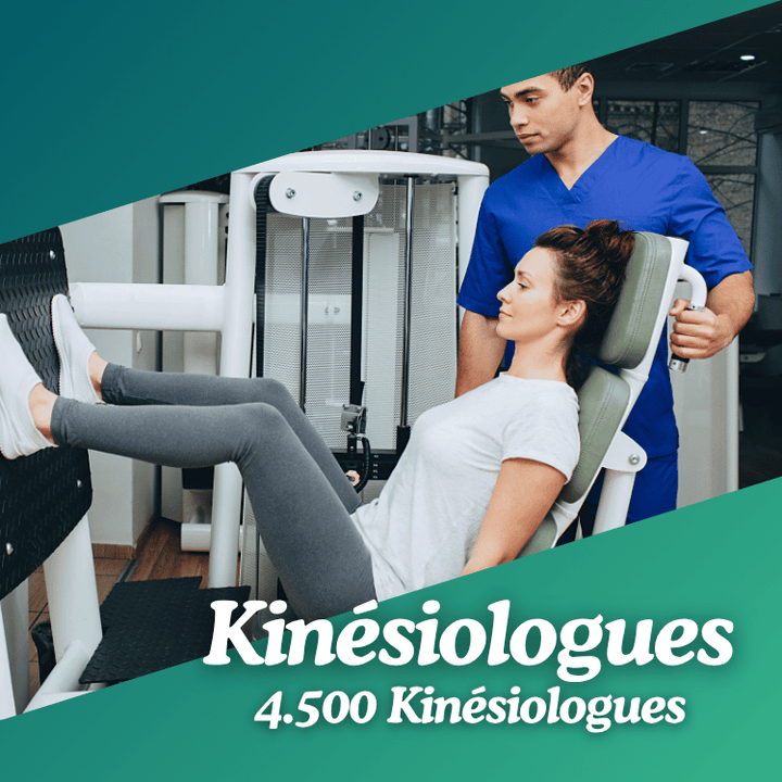 Base de données kinesiologues