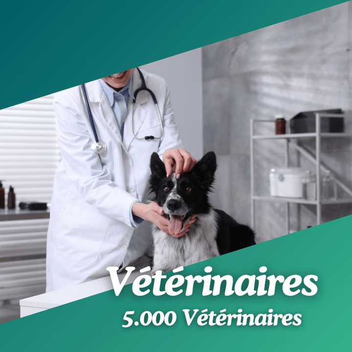 Base de données vétérinaires
