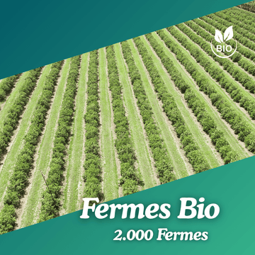 Fermes Bio