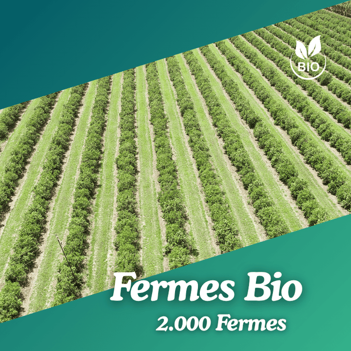 Fermes Bio