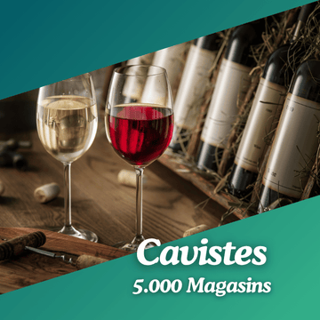 Base de données des cavistes
