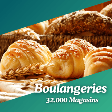 Bases de données B2B