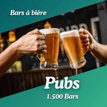 Base des Pubs et bars à bière en France