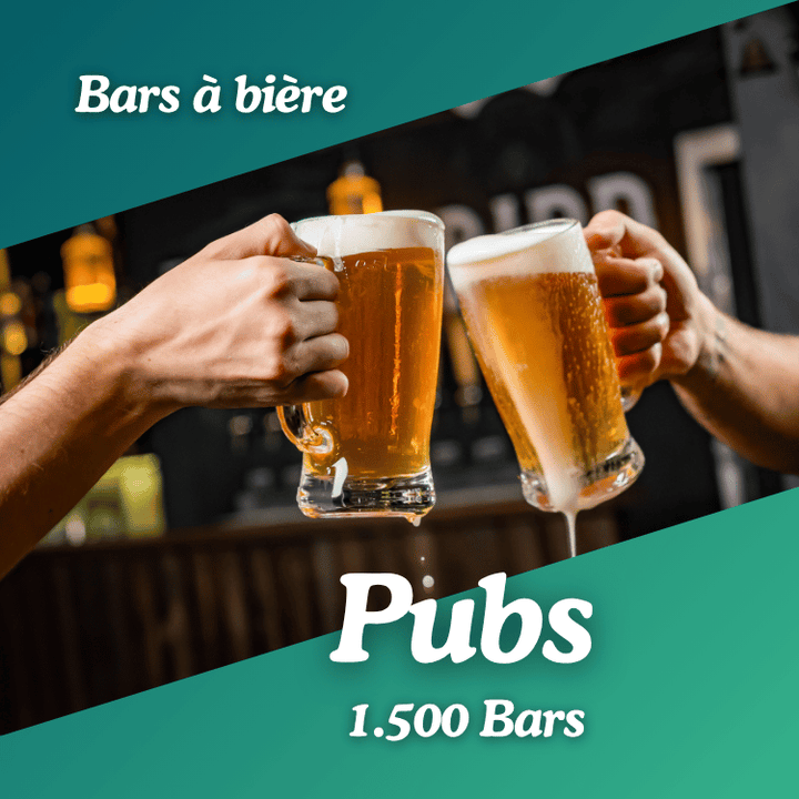 Base des Pubs et bars à bière en France